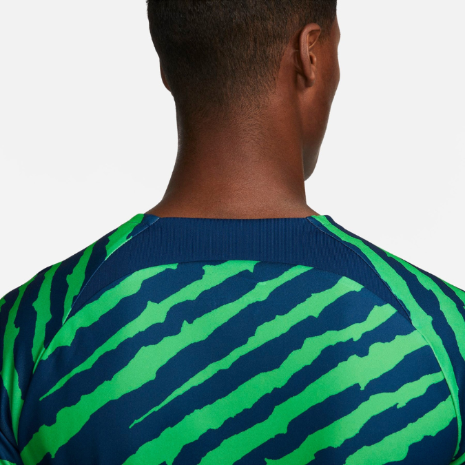 Camisa Seleção Brasileira Pré-Jogo 2022 Torcedor Verde e Azul