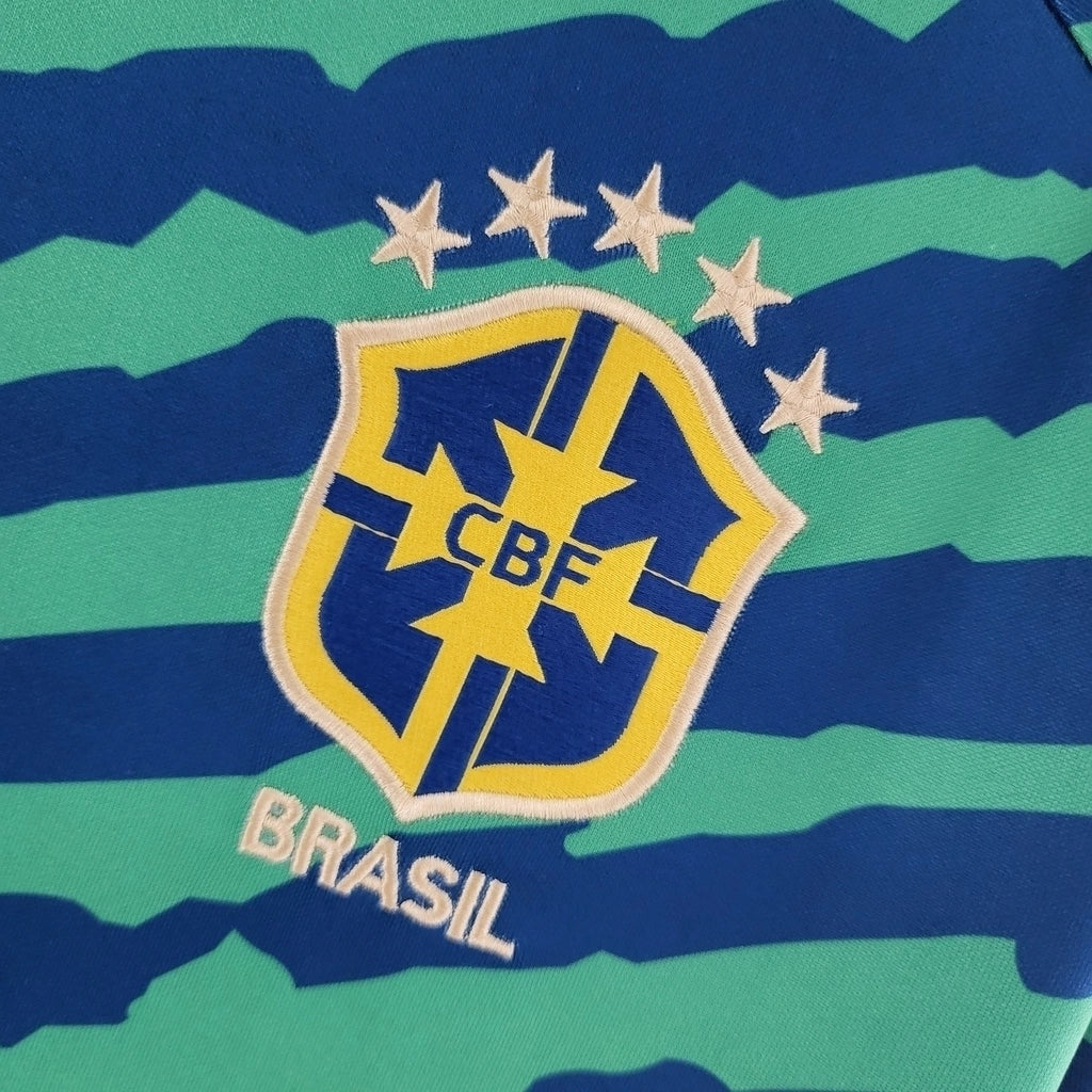 Camisa Seleção Brasileira Pré-Jogo 2022 Torcedor Verde e Azul