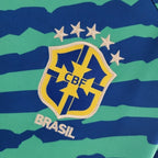 Camisa Seleção Brasileira Pré-Jogo 2022 Torcedor Verde e Azul